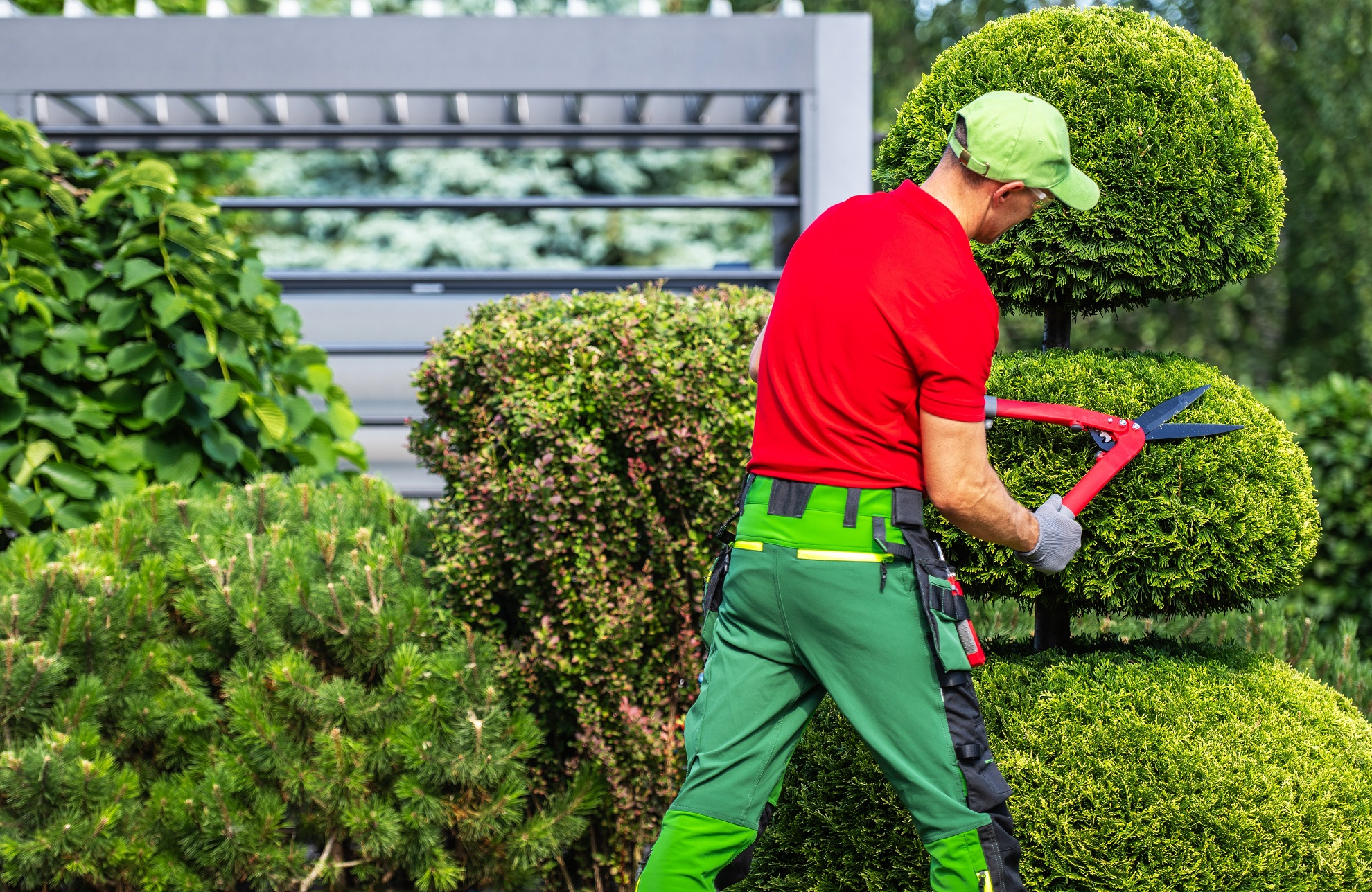 Tree trimming service
