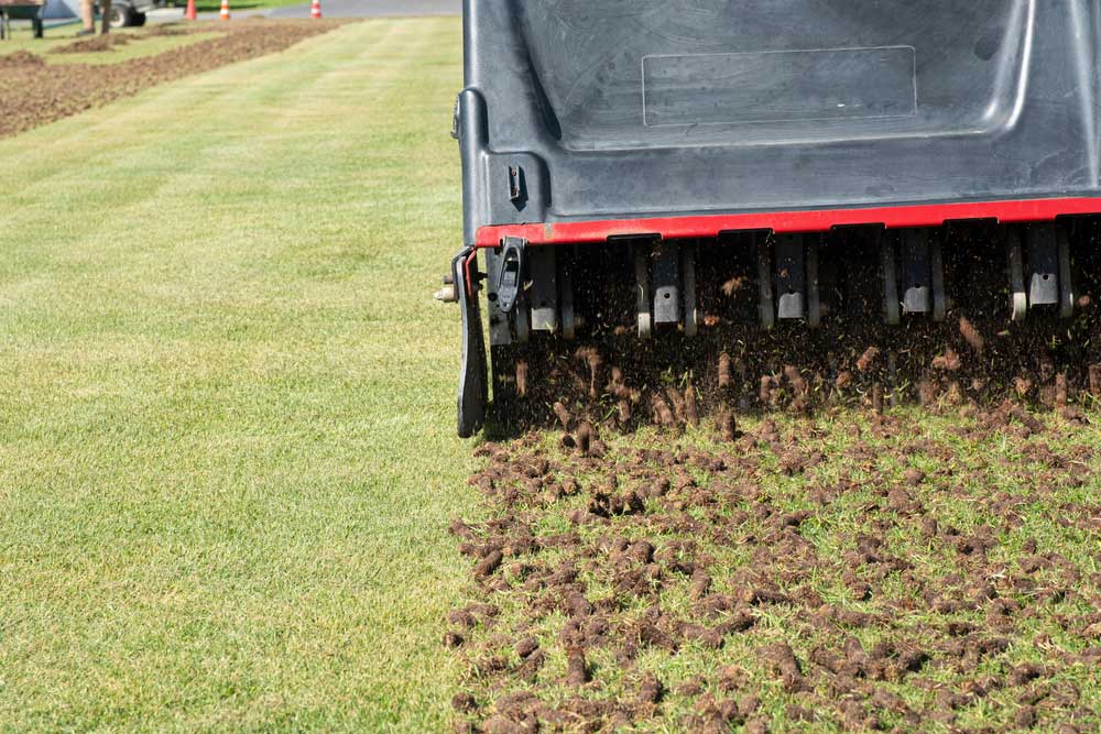 Aeration service