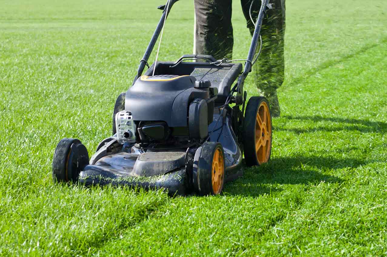 Lawn care service